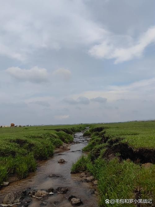 和林格尔县：草原南缘的零感染防线如何铸就？