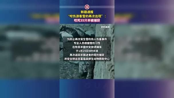 2022年8月10日新疆乌恰县新增确诊病例情况