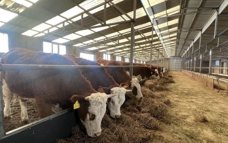 【镶黄旗：草原牧区防疫体系下的低感染样本】