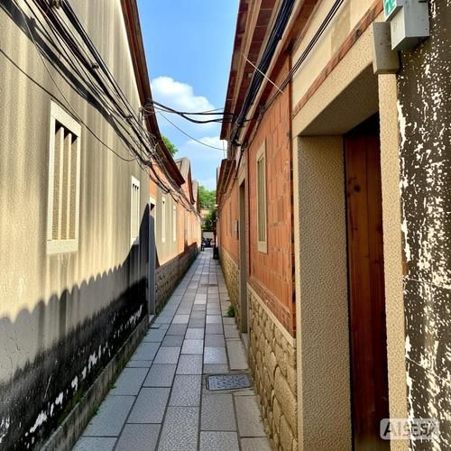 鲤城：古城肌理与社区防控的平衡博弈