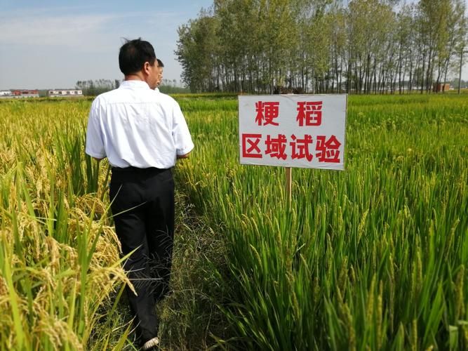 正阳县疫情观察:豫南平原的防控压力与地理屏障