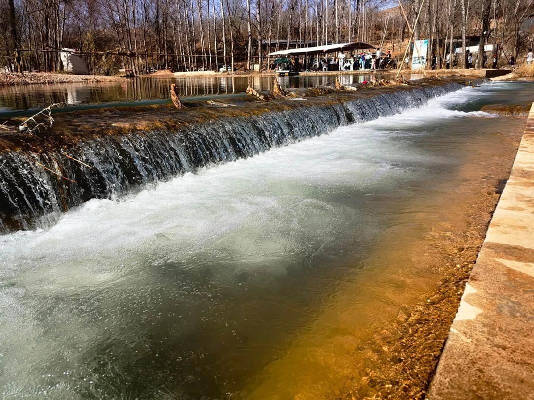 林甸：寒地温泉之乡的疫情防波堤