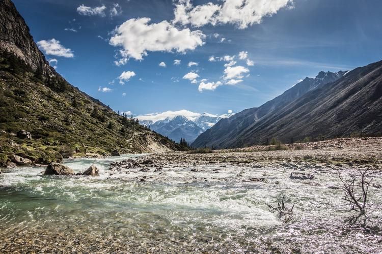 2022年8月15日贡嘎新增确诊病例情况_41093