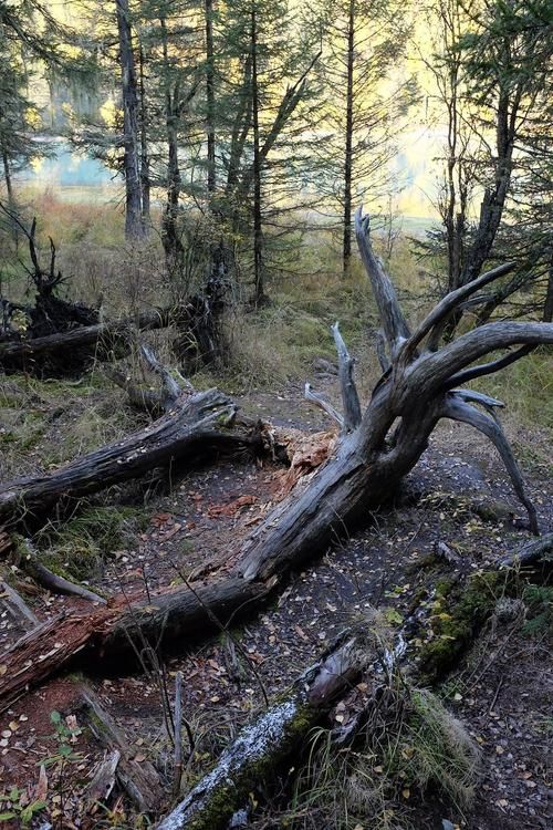 日常科普 第138页