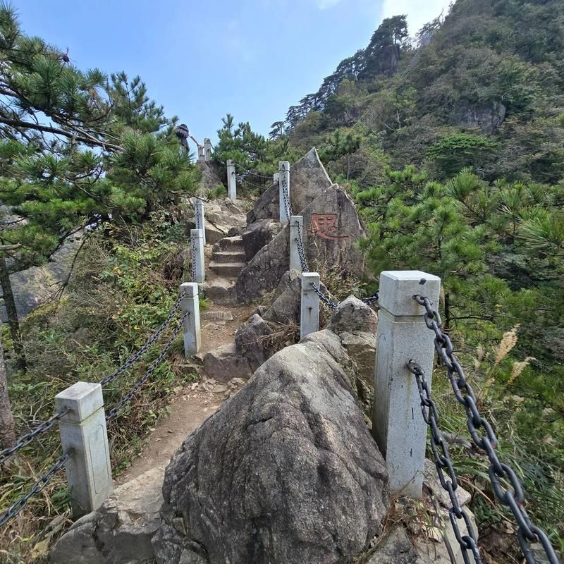 【舒城:大别山腹地的防疫坚守与零星破防】