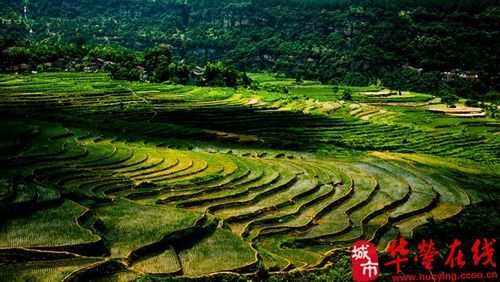 邻水疫情破防：川东交通枢纽的防控压力测试