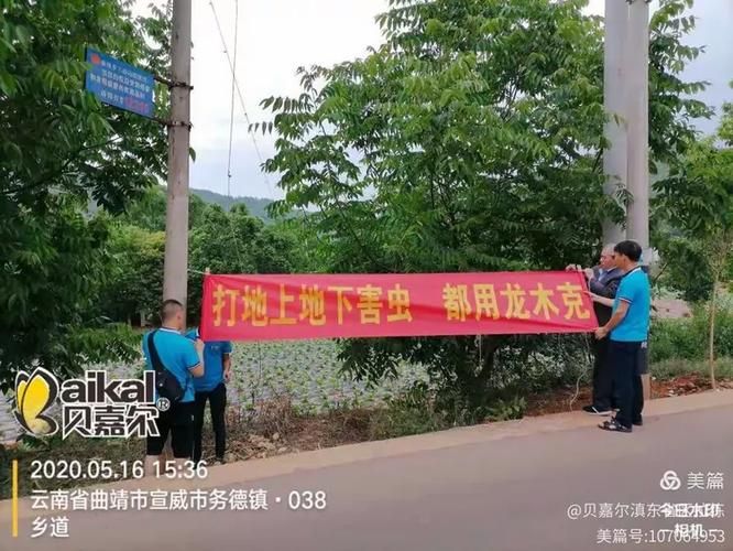 宣威:滇东门户的防疫压力与地理屏障