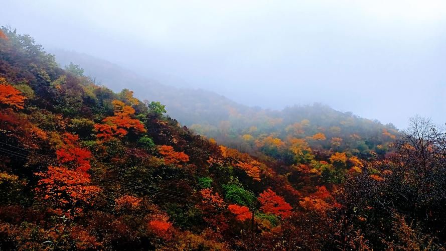 秦岭腹地的防疫样本：宁陕如何构筑零感染物理防线？