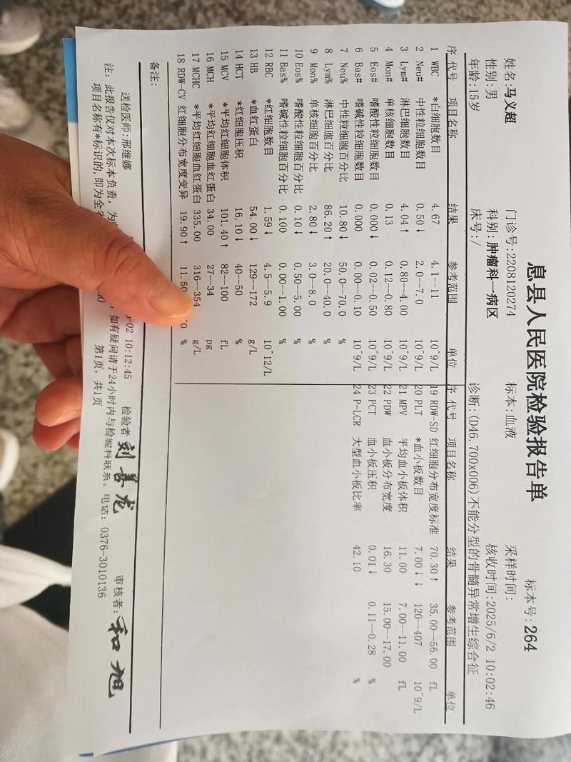日常记录 第135页