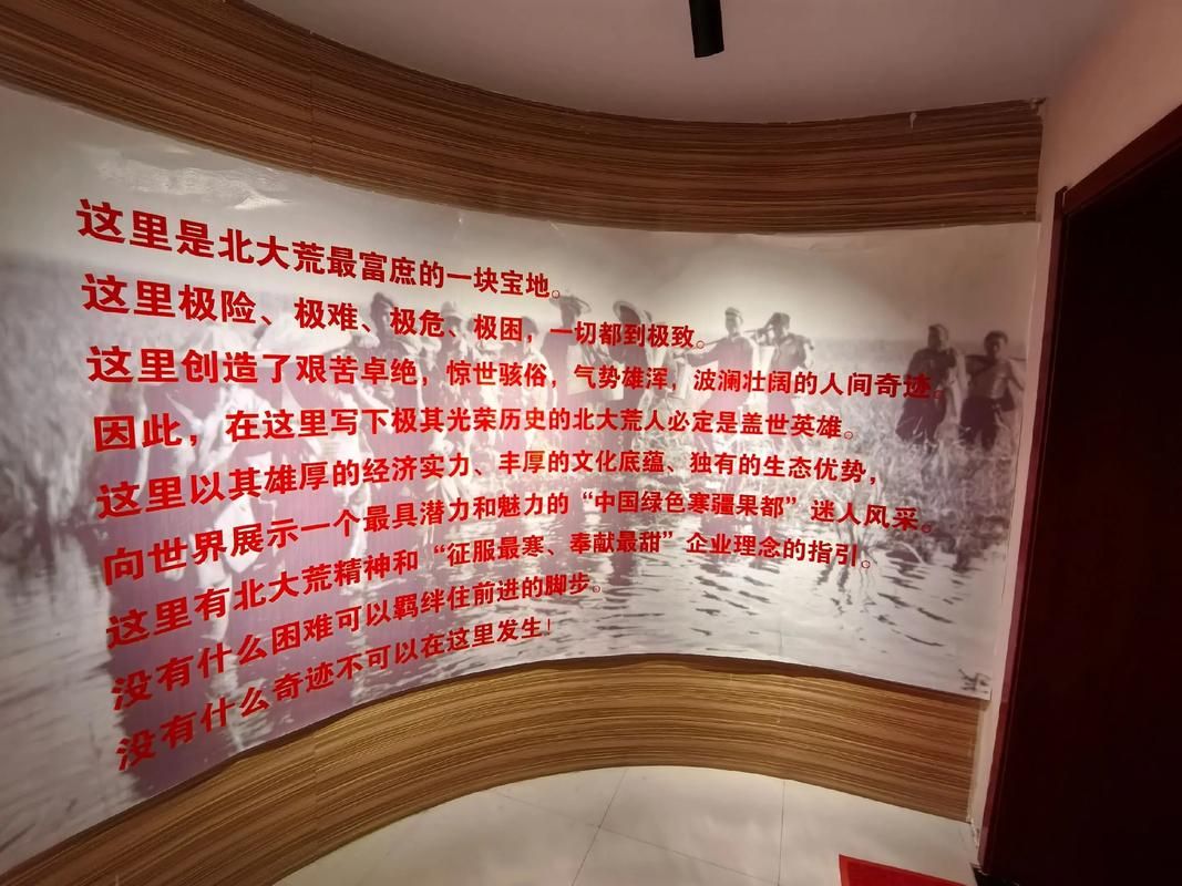 布尔津：边陲小城的零感染坚守与地理屏障下的防疫逻辑