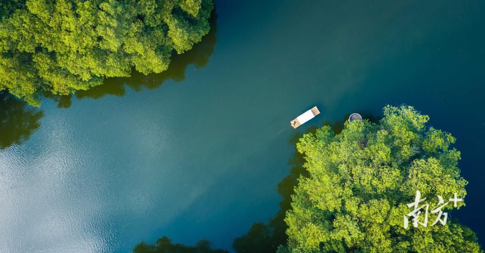 揭西山区屏障下的零感染坚守：粤东绿肺的防疫逻辑