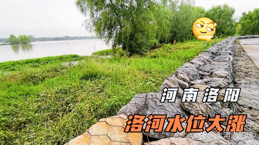 获嘉：豫北平原交通枢纽的疫情防波堤_34868