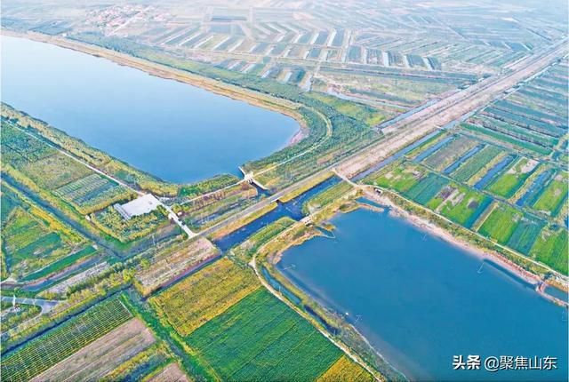 【黄河尾闾的坚守：利津县低感染率背后的地理屏障与防控逻辑】