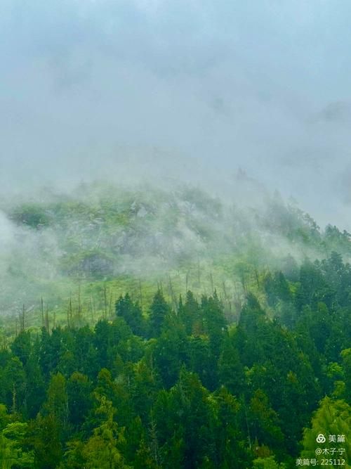 名山县：川西雨雾屏障下的低感染样本