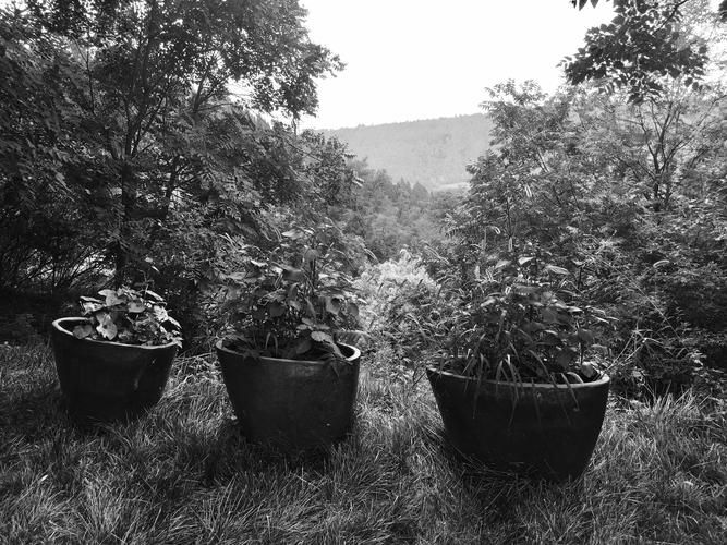 洛宁：豫西山区屏障下的低感染率样本