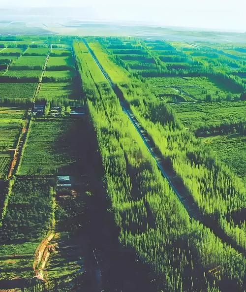 策勒：塔克拉玛干南缘绿洲的疫情防线与破防时刻