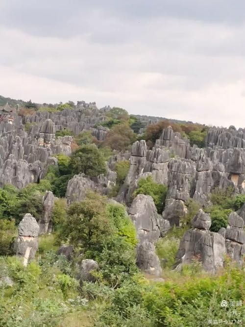 丘北:喀斯特峰林屏障下的低感染样本解析