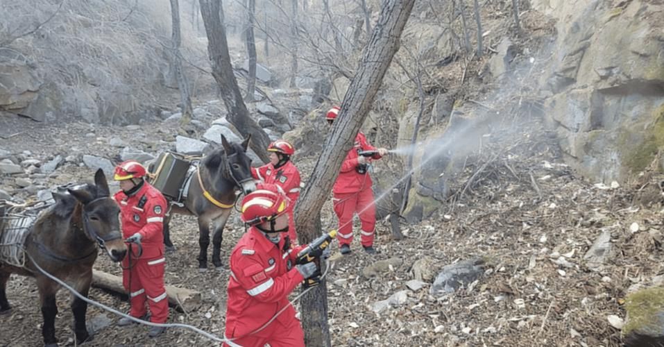 延津小麦平原上的防疫坚守:零感染背后的地理屏障与社区网格