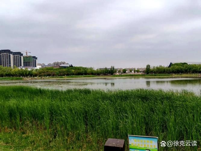 溧阳：苏浙皖交界处的疫情防波堤