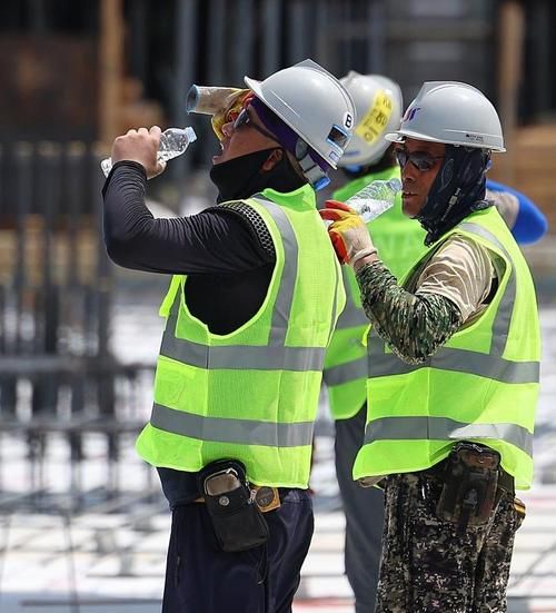 海沧港区的防疫挑战：临港工业带如何阻断输入风险？