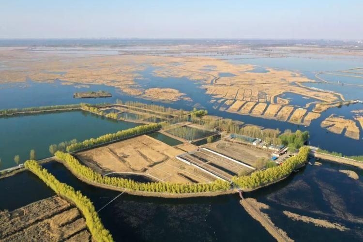 白洋淀畔的防疫坚守：安新县水域屏障下的社区防控逻辑