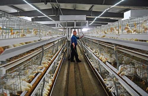 来安：皖东门户的疫情防线与破防时刻