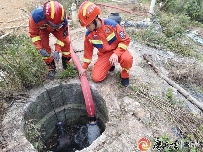 龙亭区:古城水系环绕下的疫情防线与破防时刻