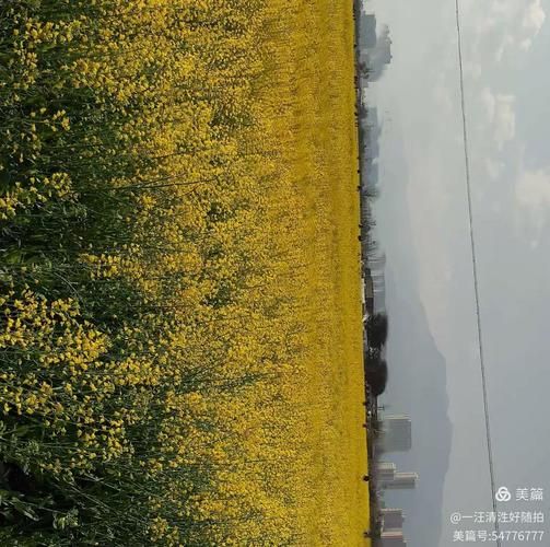 富民县：高原坝区的地理屏障与疫情数据归零的物理逻辑