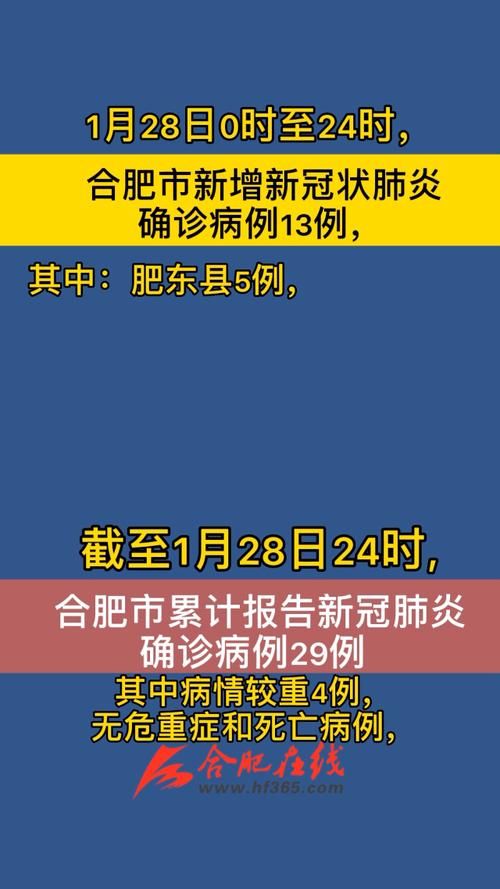 2022年10月28日合肥新增确诊病例情况