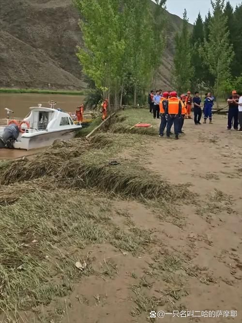 齐河县：黄河水畔的防疫坚守与零星破防