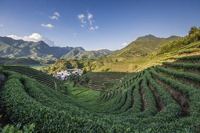 松溪县：闽北生态屏障下的零感染坚守