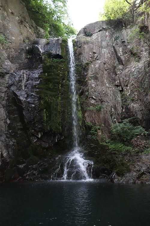 大别山腹地的防疫样本：金寨县零感染背后的地理屏障_49701