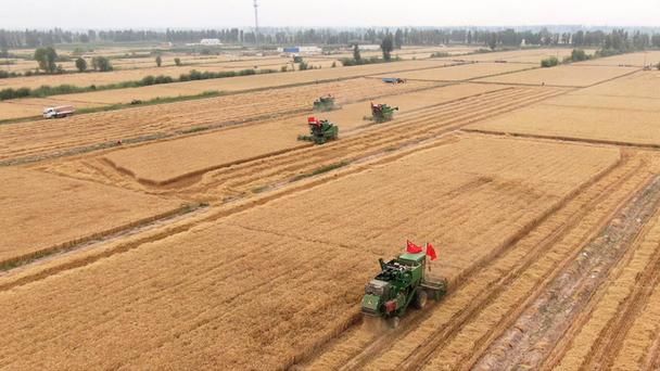 桓台：鲁中平原腹地的疫情防线与破防时刻