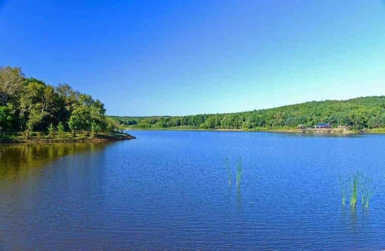 榆树市:松辽平原腹地的零感染坚守_15852