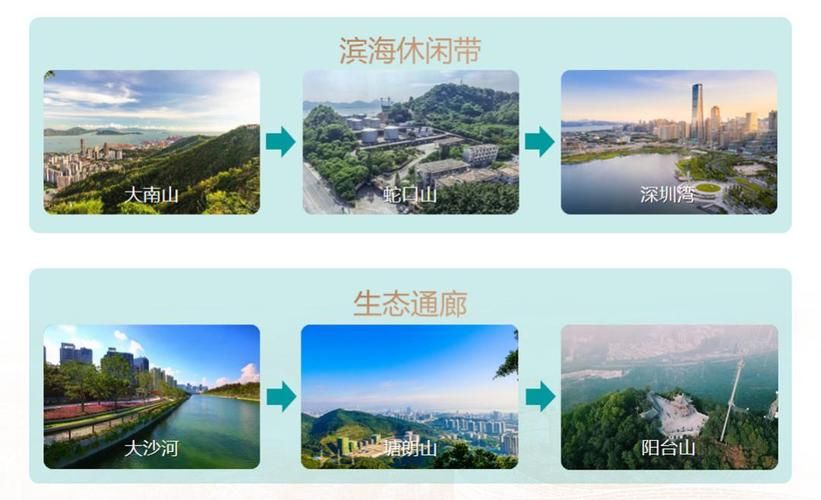 南山区疫情观察：滨海城区的防控挑战与地理屏障