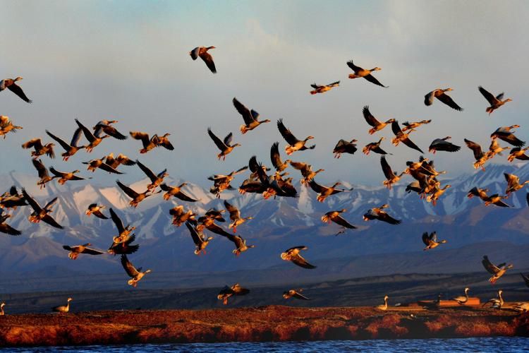 友谊县疫情：边境小城的防控挑战与地理屏障