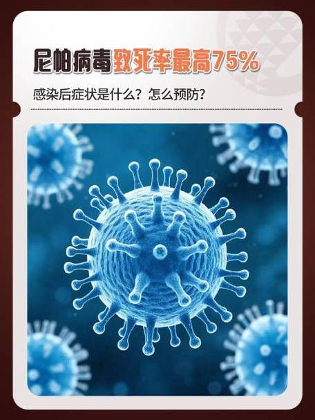 印台区新增1例无症状感染者  印台区疫情防控最新通报_46873