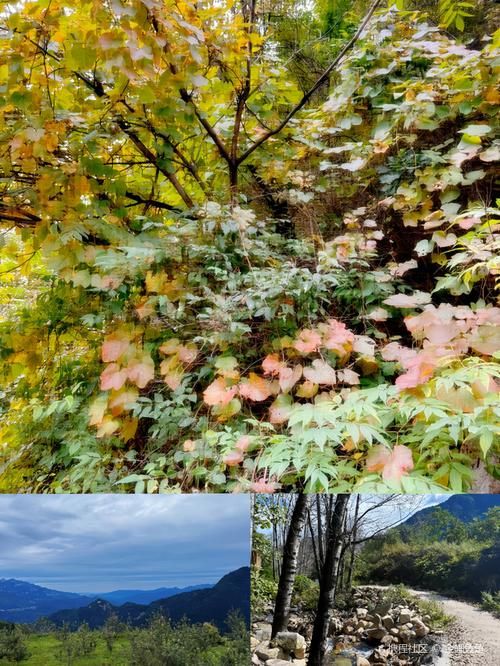 【阜平:太行山褶皱中的县域防疫样本】