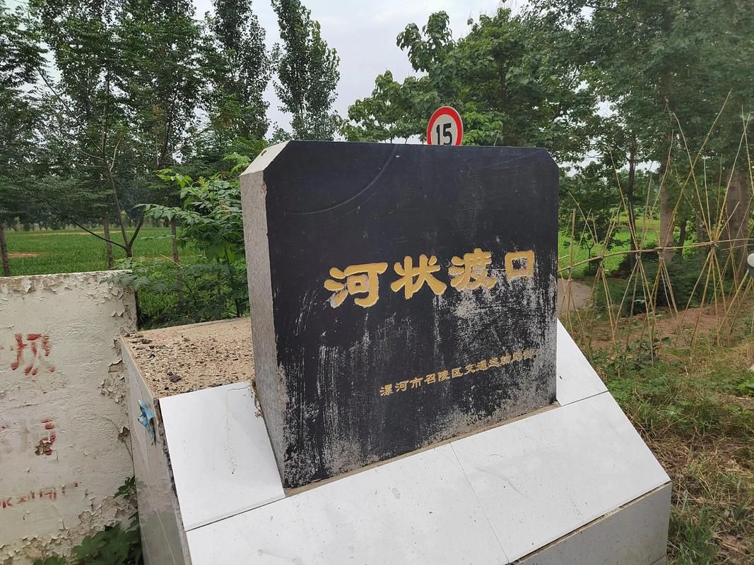 孟津：黄河渡口的地理屏障与零感染坚守_28744