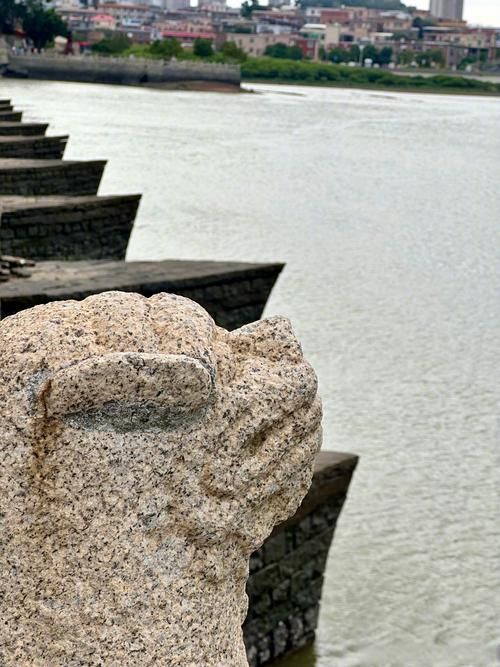 袁州区：赣西丘陵间的疫情防波堤