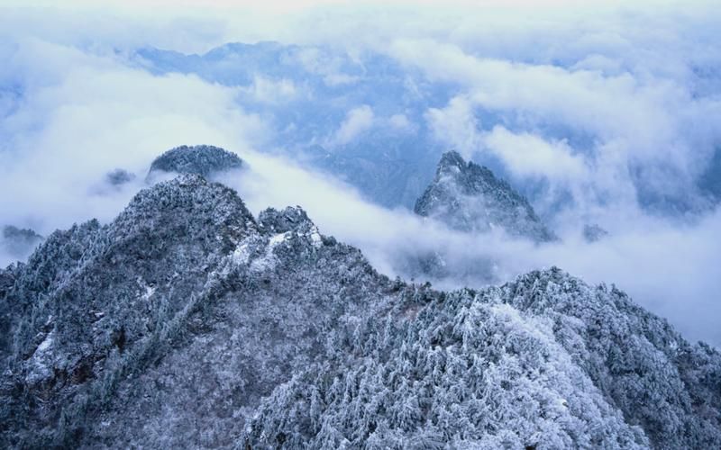 嵩县：伏牛山屏障下的零感染坚守