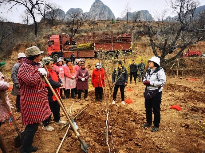 昔阳:太行山坳的防疫坚守与零星破防