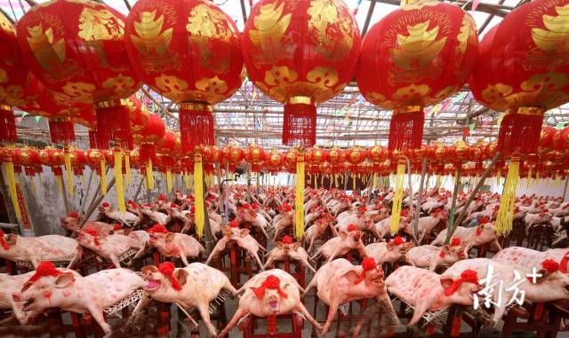 澄海区：潮汕侨乡的防疫韧性从何而来？