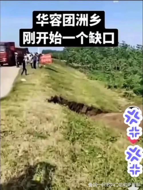 富阳：山水屏障下的疫情破防与精准围堵