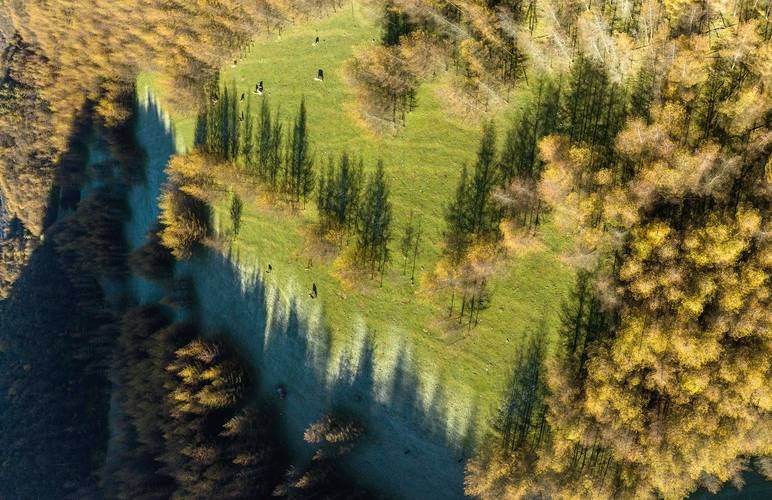 利川:鄂西林海屏障下的零感染坚守