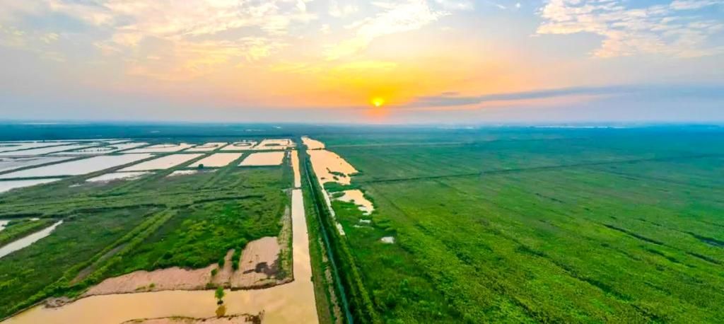 疫情下的南县:洞庭湖平原的防控样本与挑战