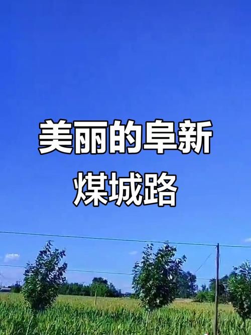 阜新市辖区：寒地煤城交通枢纽下的疫情防线