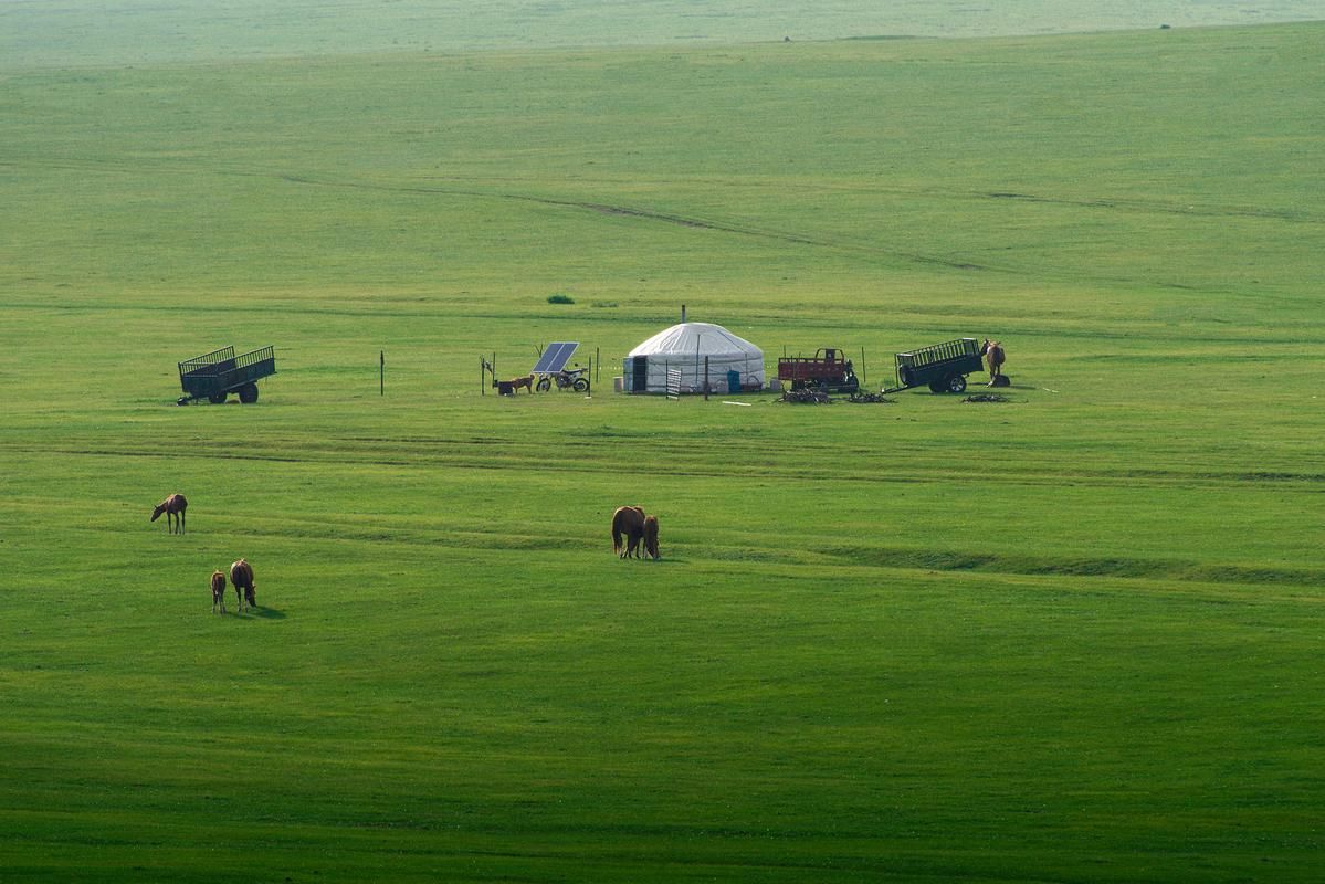 【正镶白旗:草原边境线上的防疫坚守】