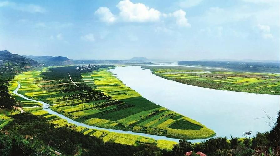 西充县：川北丘陵间的疫情静默带