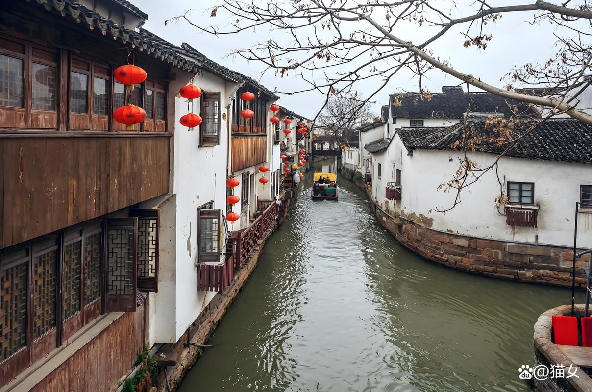 吴江：水乡交通枢纽下的疫情防线与破防时刻